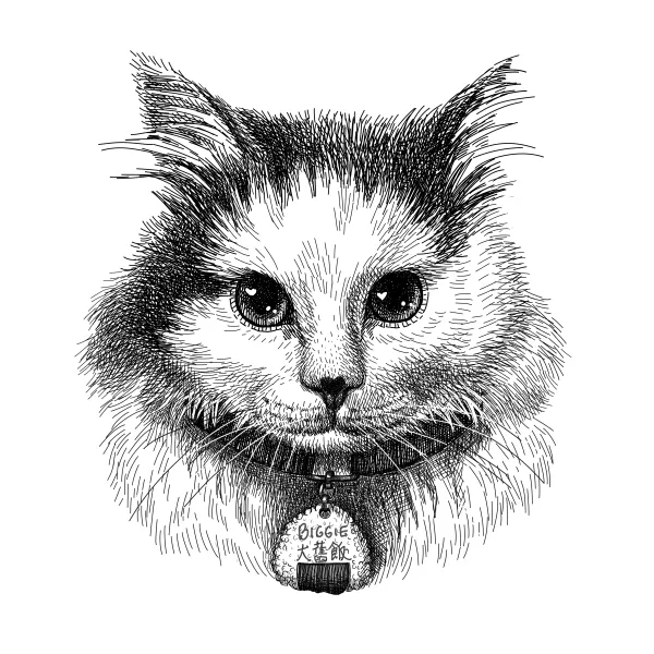 Fluffy long-haired cat with a collar and a rice-ball name tag reading Biggie