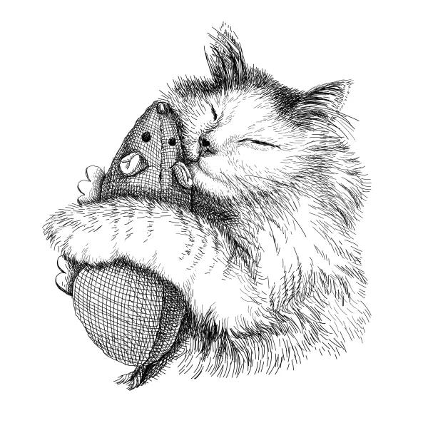Fluffy cat with eyes closed, hugging a ball of yarn, a small toy resting on its head