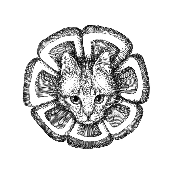 Tabby cat's face peeking out from the centre of a large flower-shaped cushion