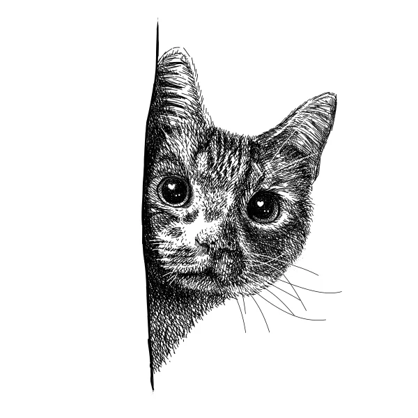 Wide-eyed cat peeking around the edge of a wall