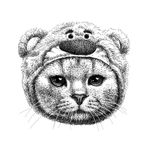 Wide-eyed cat wearing a fuzzy bear-ear hood